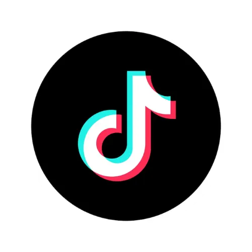 100 Seguidores
